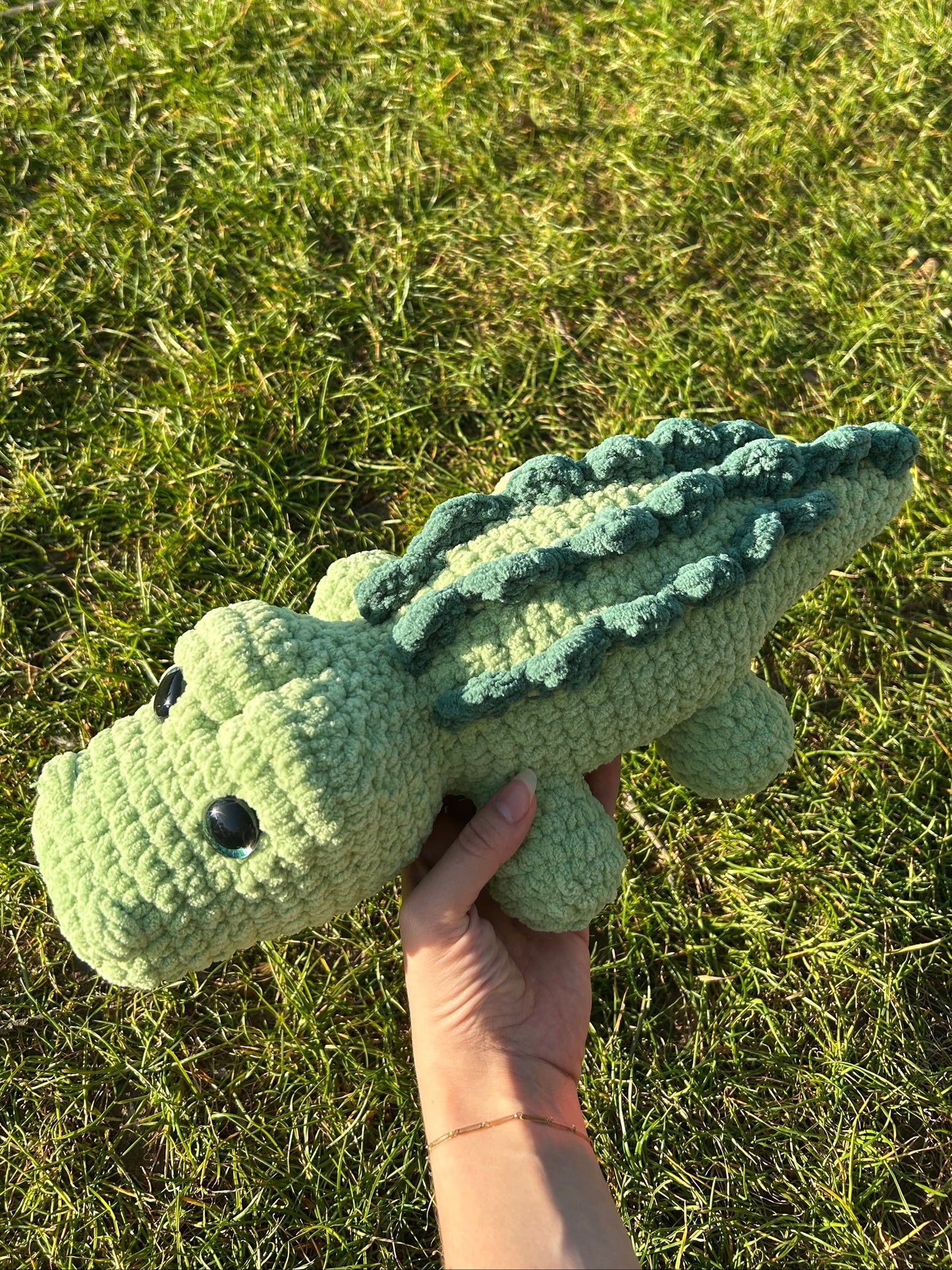 Crocodile pistache