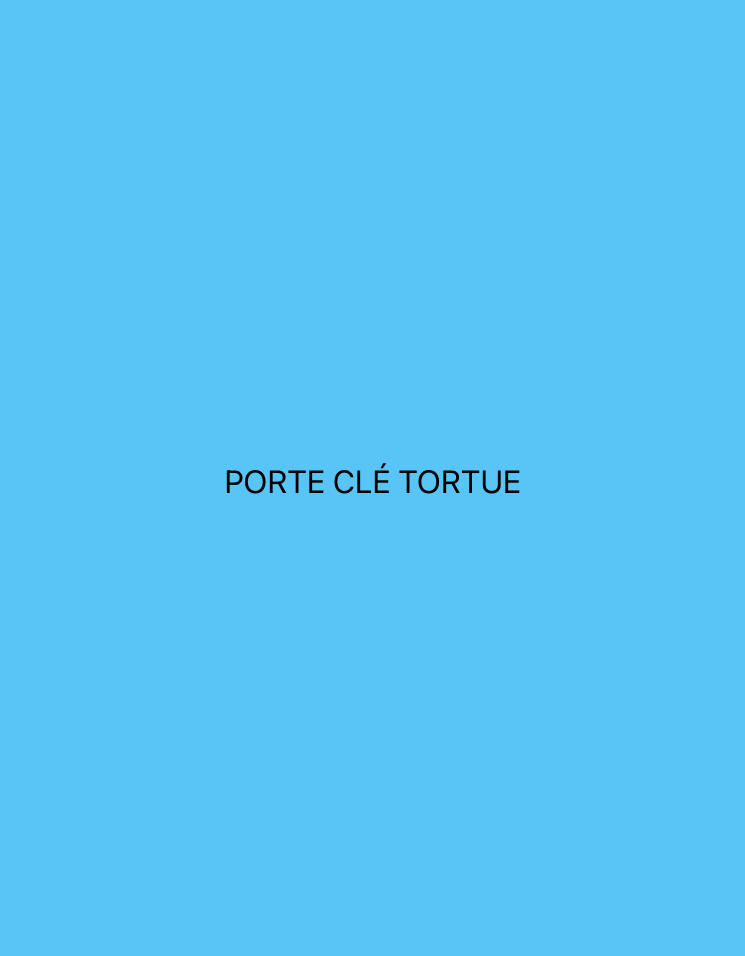 Porte clé Tortue