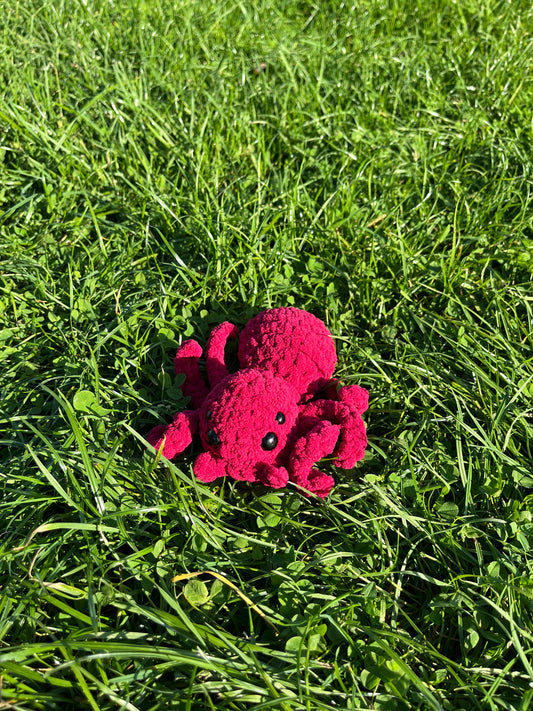 Peluche Araignée Charlotte