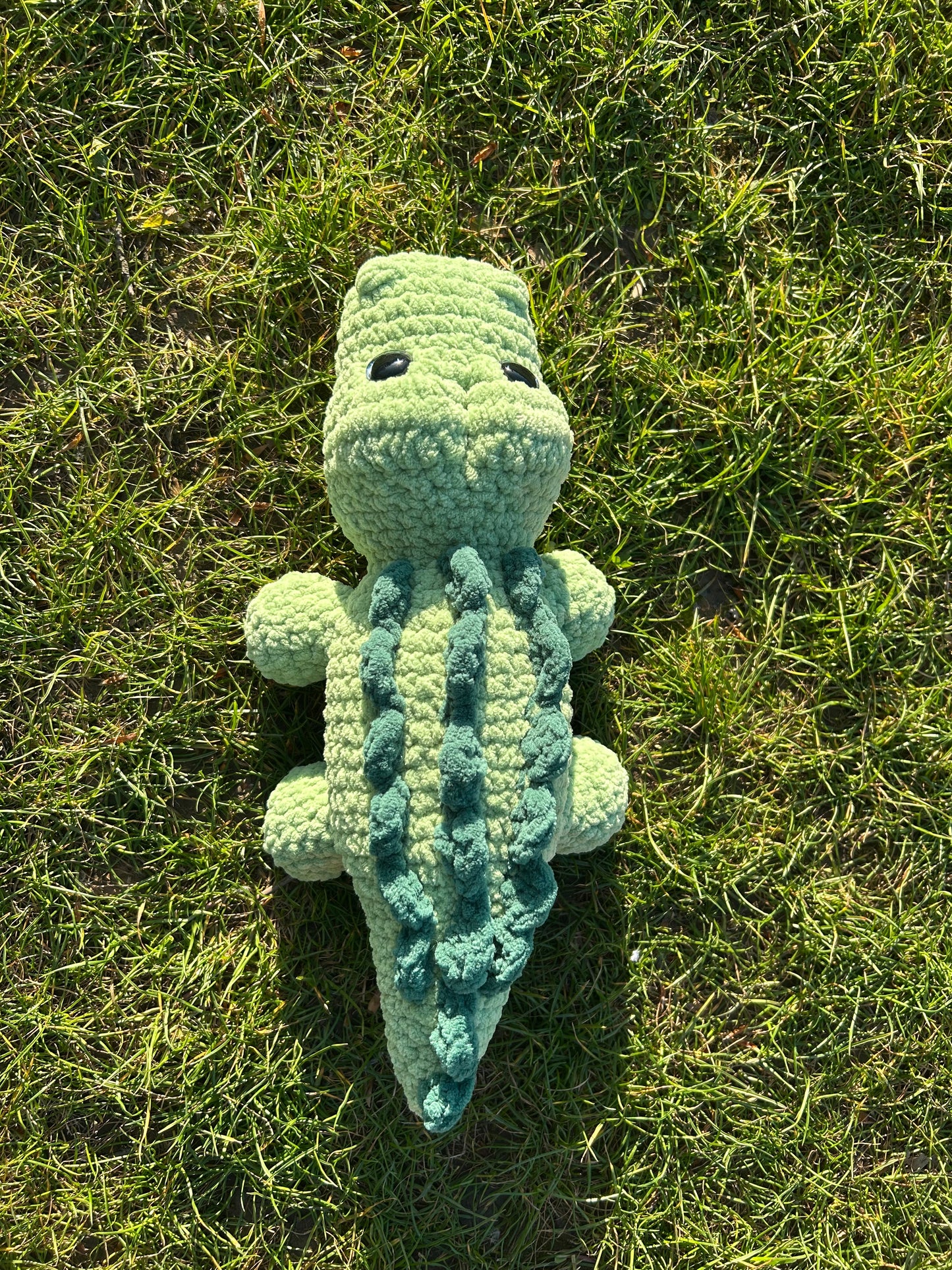 Crocodile pistache