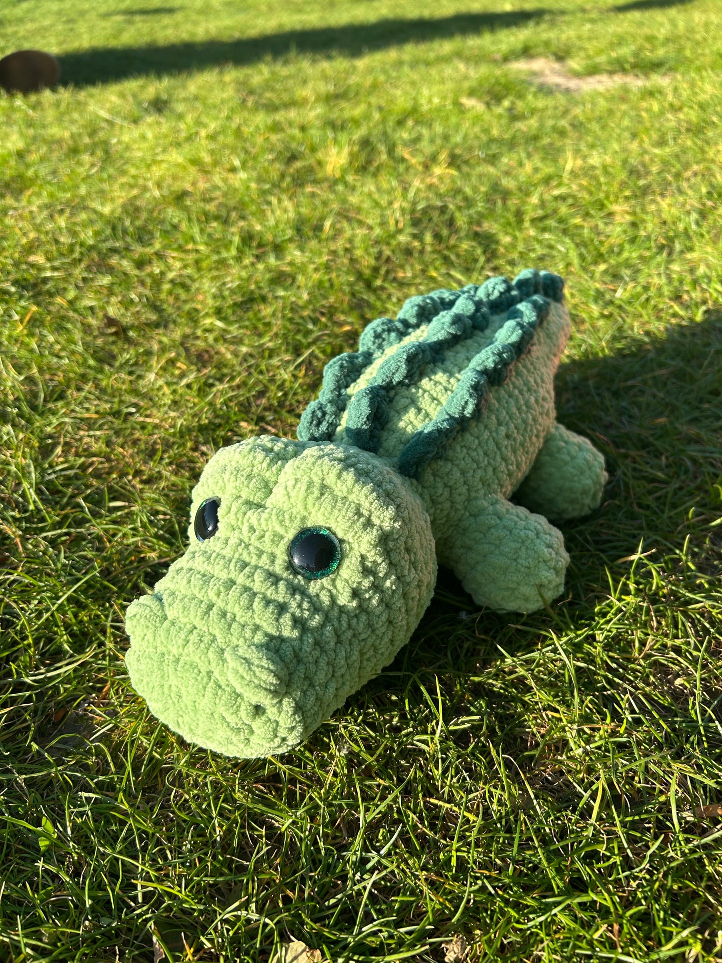 Crocodile pistache