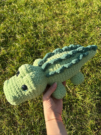 Crocodile pistache