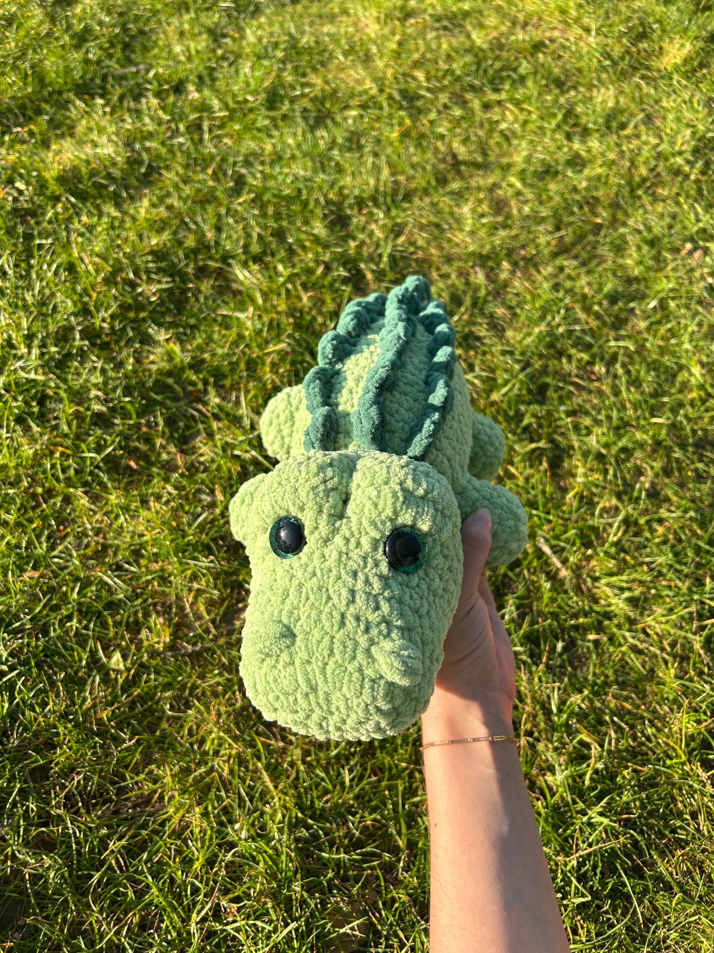 Crocodile pistache