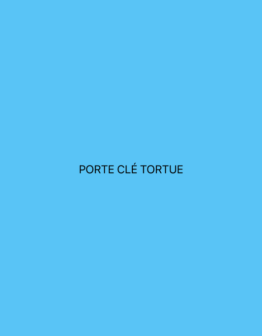 Porte clé Tortue