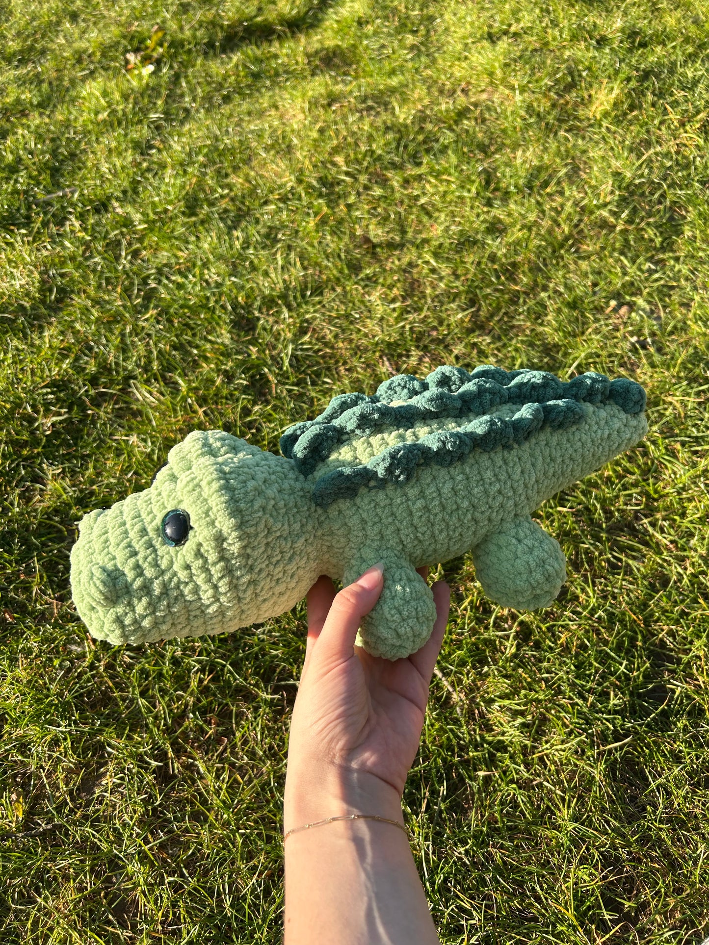 Crocodile pistache